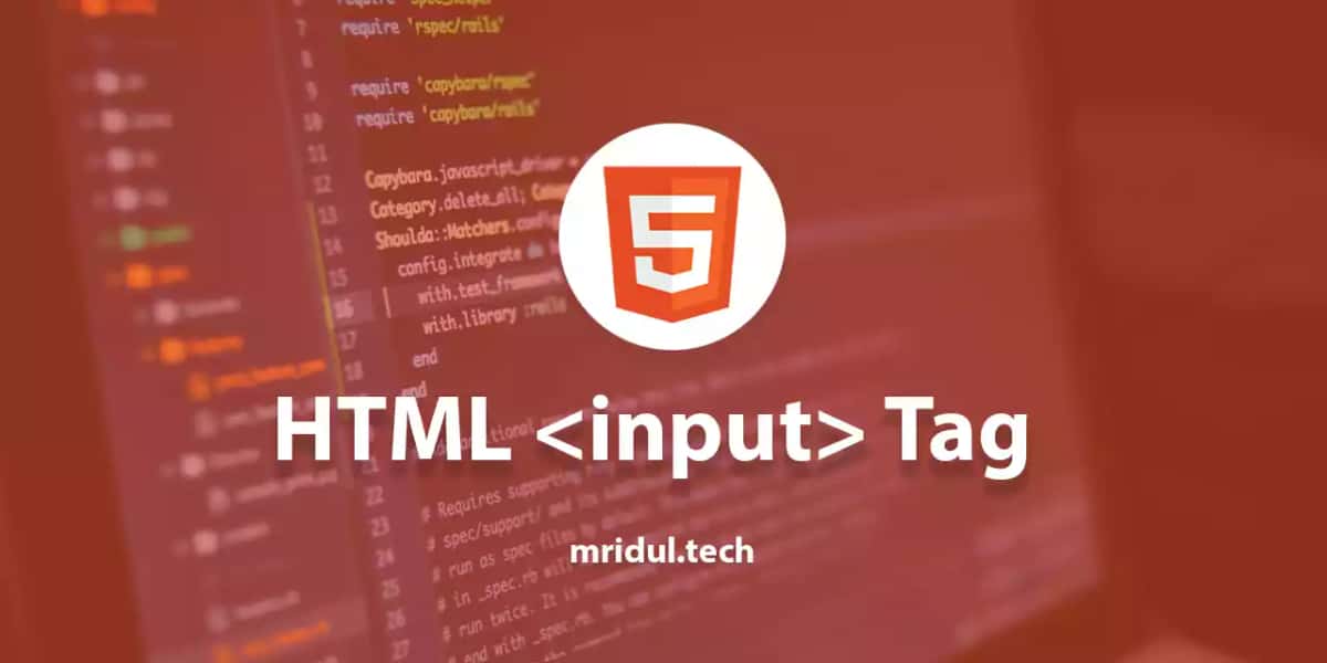 How to add input tags in HTML
