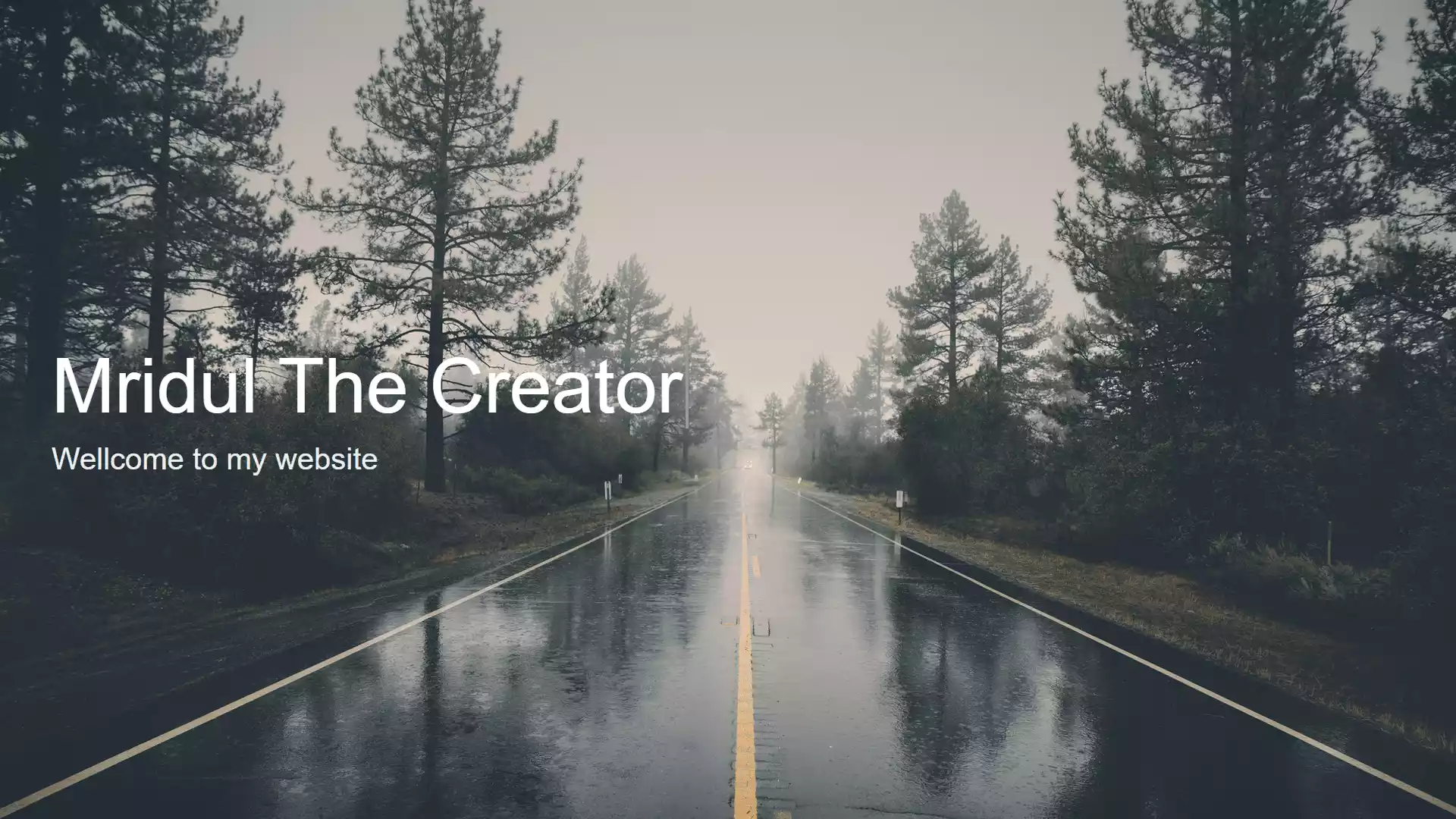 JavaScript Type Writer Effect using HTML, CSS and JS JavaScript Type Writer Effect using HTML, CSS and JS