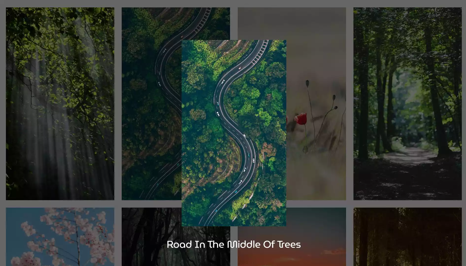 Fluid Image PopUp with HTML CSS and JavaScript | Mridul.Tech Fluid Image PopUp with HTML CSS and JavaScript. Mridul.Tech