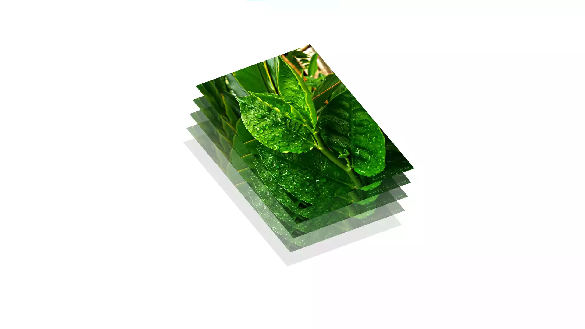 3D Layered Images | Transform Your Visuals with Depth and Dimension 3D Layered Images. Transform Your Visuals with Depth and Dimension
