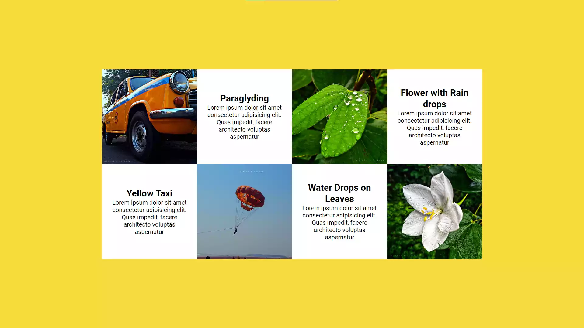 Master Responsive Box Model with HTML and CSS Master Responsive Box Model with HTML and CSS
